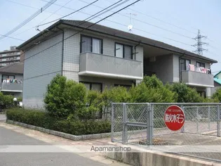 ソレイユ産の宮Dの画像