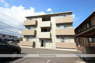 ステラの画像