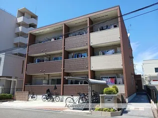 フレグラント オリーブの画像