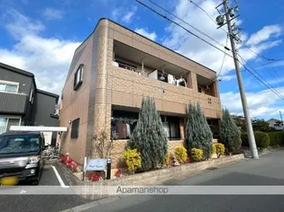 パーチカニラの画像