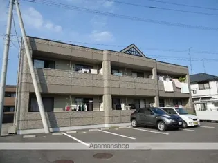 サンシャイン コーダの画像