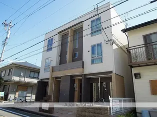 ホワイトウィステリアの画像