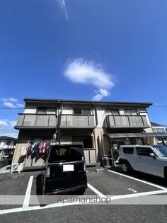 シオン 99の画像