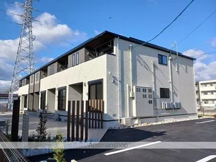 フェリスⅡの画像