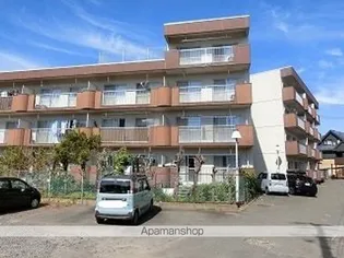 リバーサイド山岸【403号室】の外観