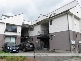 αNEXT新潟第9の画像