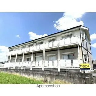 SURPLUS ONE 苗座の画像