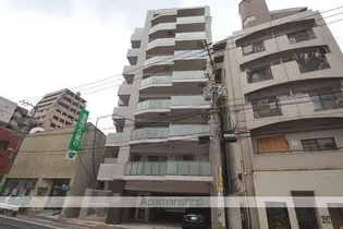 DSタワー平尾駅前レジデンスの画像
