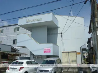 M クリノキの画像