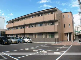 アンプルールフェールヒカリ櫻代の画像
