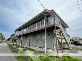 エバグリーン大形の画像