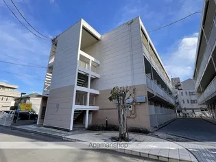 SHIMIZU 1の画像