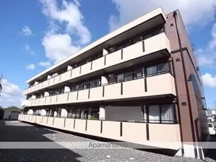 ハイカムールST秀の画像