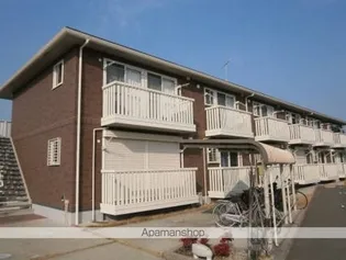 アンジュの画像