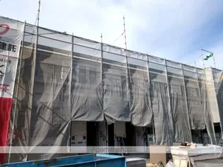 パーシモンBの画像