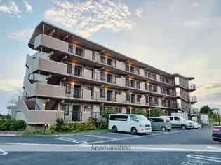 ソシア小野の画像