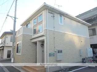 ワイズ アドニスIIの画像