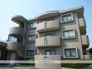 サンパティーク菜の花の画像