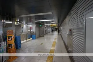 ペガサスマンション若松町【602号室】の周辺