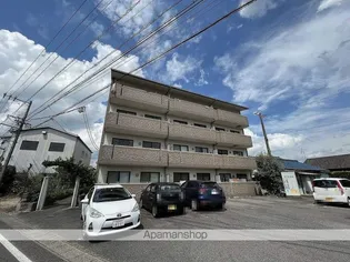 アムール河田の画像