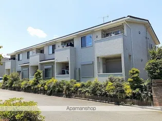 スウィーティーベル Bの画像