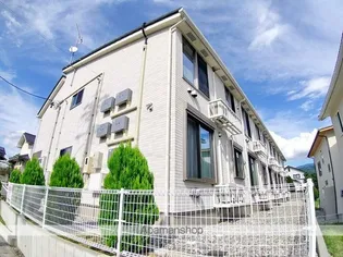 チアザス マツモトの画像