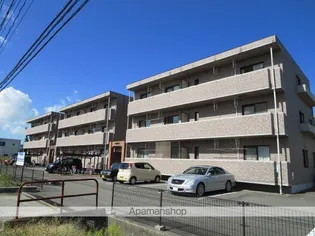 プラシードKIZAKIの画像