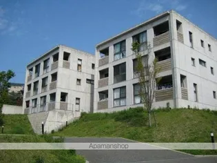 ビ ザ ビ ランドIIの画像