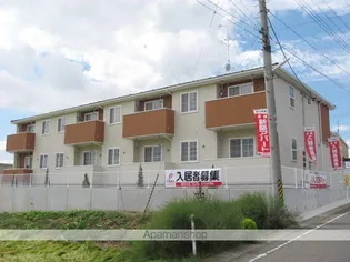 フレッシュガーデンオオクラ Aの画像