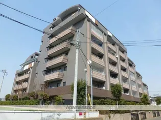 ELL GRANDEの画像
