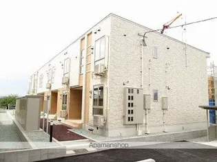 ダンディライオンの画像