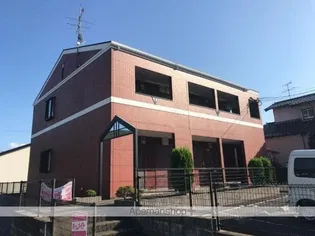 ベティヒルズの画像