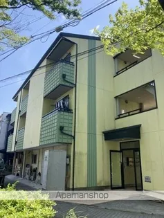 フェアリーアオイの画像