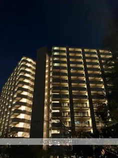 光が丘パークタウン大通り南7号棟の画像