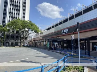 エンクレスト大橋【9階】の周辺