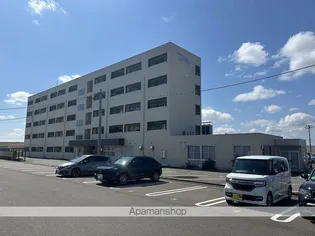 ハイムクマンドの画像