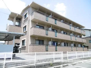 ローリエ初生の画像