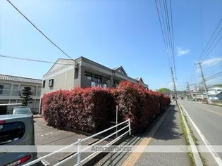 プロニティ Sの画像