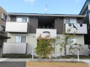 コリーヌの画像