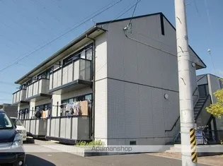 パピヨンBの画像