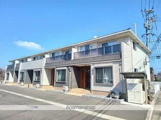 アイリスの画像