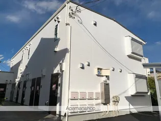 ジプソフィーラの画像