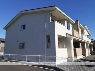 プラシードVの画像