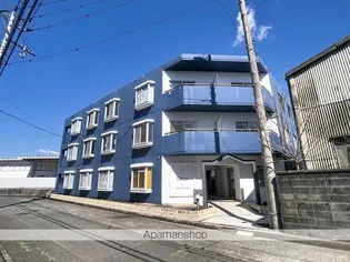 CHAIの画像