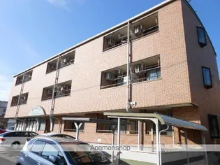 ワコウハイツ【3階】の外観