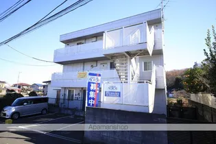 エーデルワイスの画像