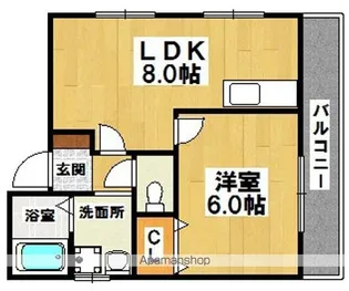 シェモア堺【4階】の間取り