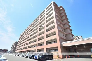 アイタス福岡の画像