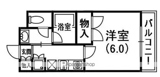 GRAND星丘【3階】の間取り