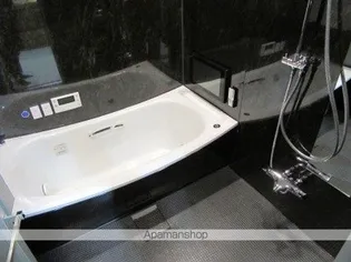 HILLS RESIDENTIAL S12【1階】の風呂